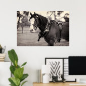 Days Gone By - Paardenfotografie B & W Print (Thuiskantoor)