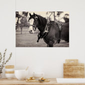Days Gone By - Paardenfotografie B & W Print (Keuken)