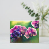 Dayspring Orchid Briefkaart (Staand voorkant)