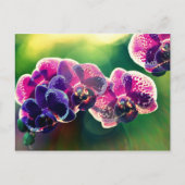 Dayspring Orchid Briefkaart (Voorkant)