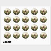 Daytime tuin fee ronde sticker (Vel)