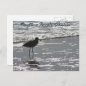 Daytona Beach Briefkaart (Voorkant / Achterkant)