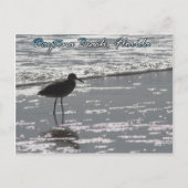 Daytona Beach Briefkaart (Voorkant)