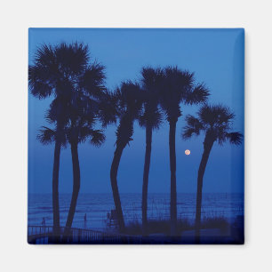 Daytona Beach FL Tropische palmboom Moon Magnets Magneet