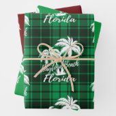 Daytona Beach Florida Green Pset Green Red Inpakpapier Vel (In situ)