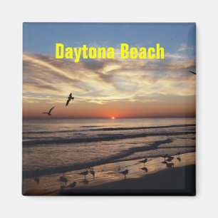 Daytona Beach magneet