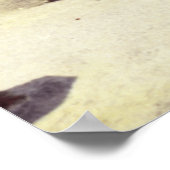 Daytona Florida Boardwalk Poster (Hoek)