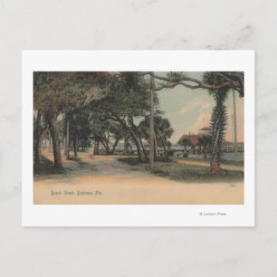 Daytona, Florida - Uitzicht van Beach Street Briefkaart