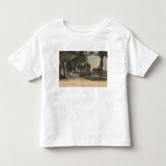 Daytona, Florida - Uitzicht van Beach Street Kinder Shirts (Voorkant)