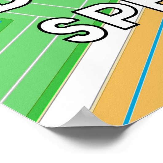 Daytona International Speedway Poster (Hoek)