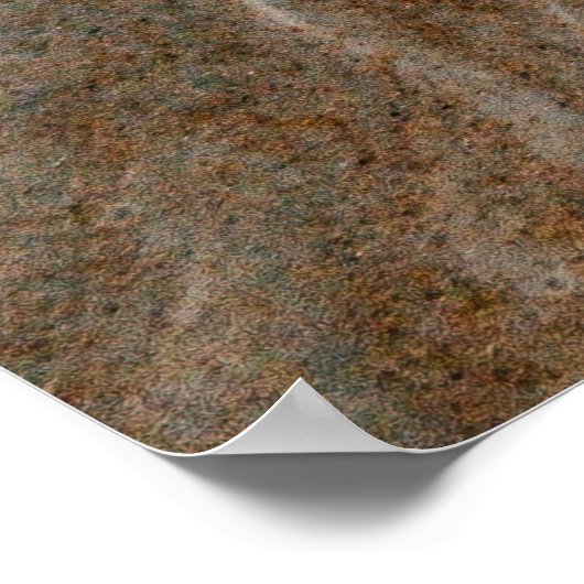 Daytona-strand Poster (Hoek)