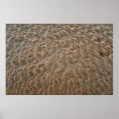 Daytona-strand Poster (Voorkant)