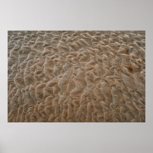 Daytona-strand Poster (Voorkant)