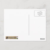 DAZZLE BRIEFKAART (Achterkant)