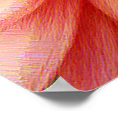 Dazzling Dahlia Flower Poster (Hoek)