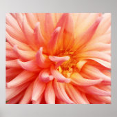 Dazzling Dahlia Flower Poster (Voorkant)