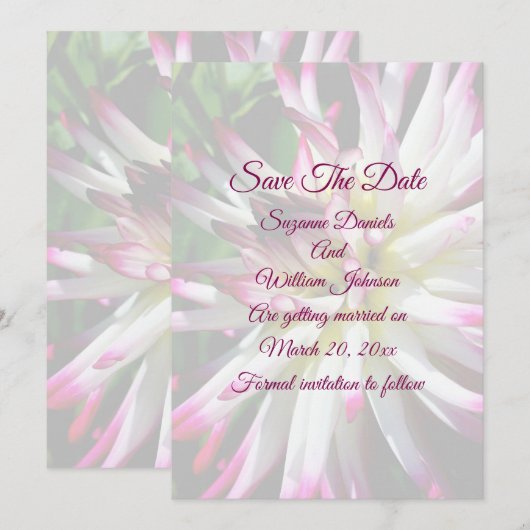 Dazzling Dahlia Flower Wedding Save The Date (Voorkant / Achterkant)