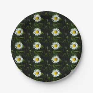 Dazzling Daisy Paper Bord