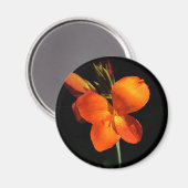 Dazzling Orchid Magnet (Voorkant / Achterkant)