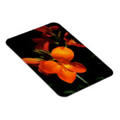 Dazzling Orchid Photo Magnet Magneet (Rechterzijde)