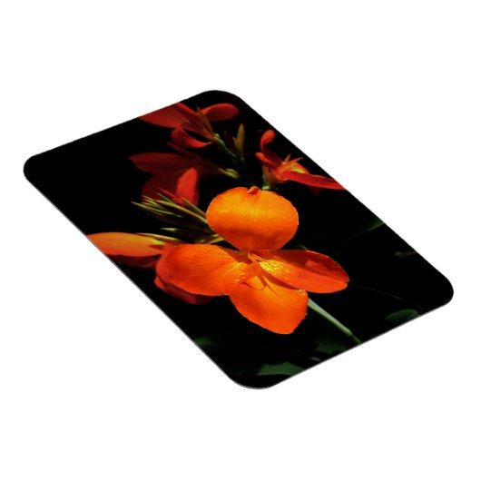 Dazzling Orchid Photo Magnet Magneet (Rechterzijde)