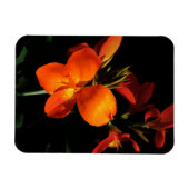 Dazzling Orchid Photo Magnet Magneet (Horizontaal)