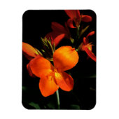 Dazzling Orchid Photo Magnet Magneet (Verticaal)