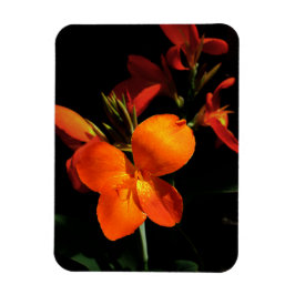 Dazzling Orchid Photo Magnet Magneet
