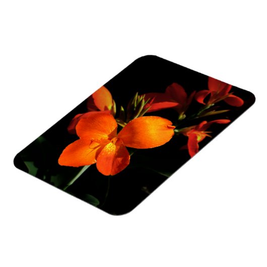 Dazzling Orchid Photo Magnet Magneet (Linkerzijde)