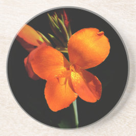 Dazzling Orchid Sandstone Onderzetter