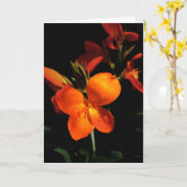 Dazzling Orchid Wenskaart Kaart (Gele Bloem)