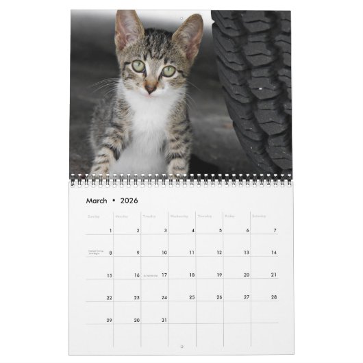 Dazzling Orchids Agenda Kalender (Mar 2026)