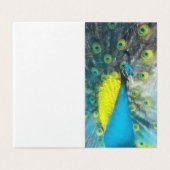 Dazzling Peacock - leeg cadeau label set Kaart (Buitenkant ongevouwen)