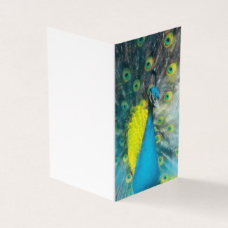Dazzling Peacock - leeg cadeau label set Kaart