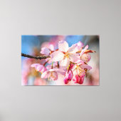 Dazzling Sakura Flowers. Beige en blauwe achtergro Canvas Afdruk (Voorkant)