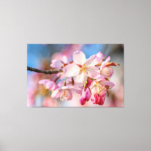 Dazzling Sakura Flowers. Beige en blauwe achtergro Canvas Afdruk