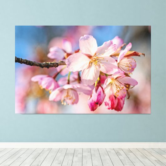 Dazzling Sakura Flowers. Beige en blauwe achtergro Canvas Afdruk (Insitu (Houten vloer))