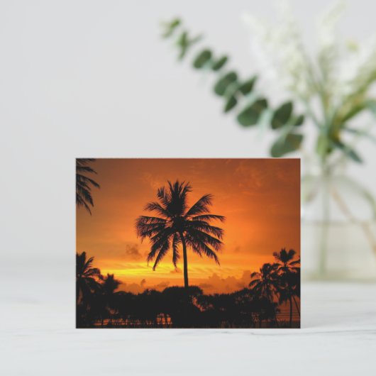 Dazzling Tropical Sunset Briefkaart (Staand voorkant)