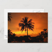 Dazzling Tropical Sunset Briefkaart (Voorkant / Achterkant)