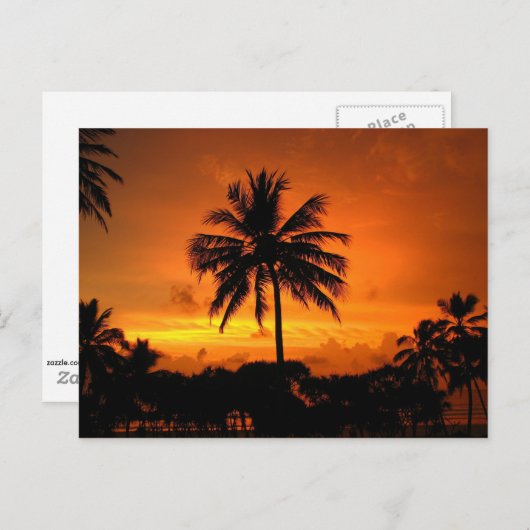 Dazzling Tropical Sunset Briefkaart (Voorkant / Achterkant)