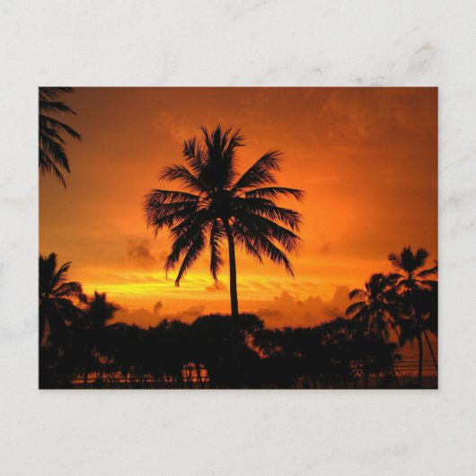 Dazzling Tropical Sunset Briefkaart (Voorkant)