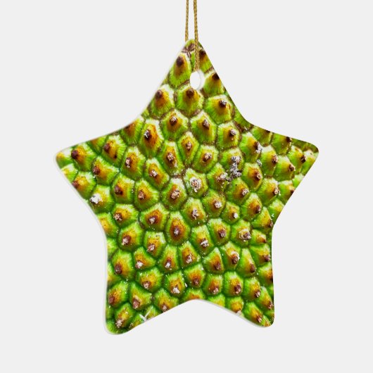 Dble Sided Star Ornament (Rechts)