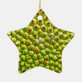 Dble Sided Star Ornament (Voorkant)