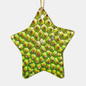 Dble Sided Star Ornament (Links)