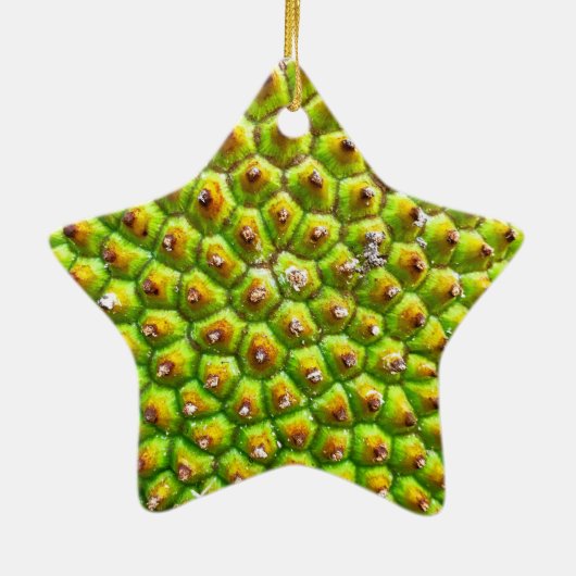 Dble Sided Star Ornament (Achterkant)