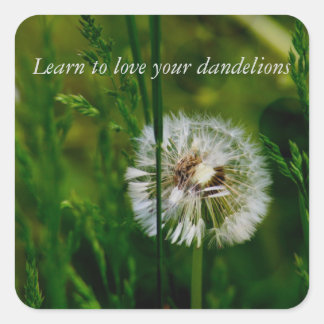 DBT-stickers Vierkante Sticker