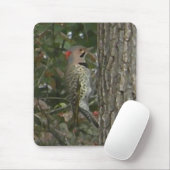 DC- Flicker Woodpecker Bird Mousepad Muismat (Met muis)