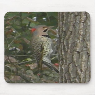 DC- Flicker Woodpecker Bird Mousepad Muismat