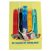 DC League of Super-Pets Metropolis Towers Medium Cadeauzakje (Achterkant)