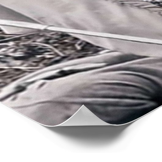 DC Legend of Tomorrow White Canary Poster (Hoek)